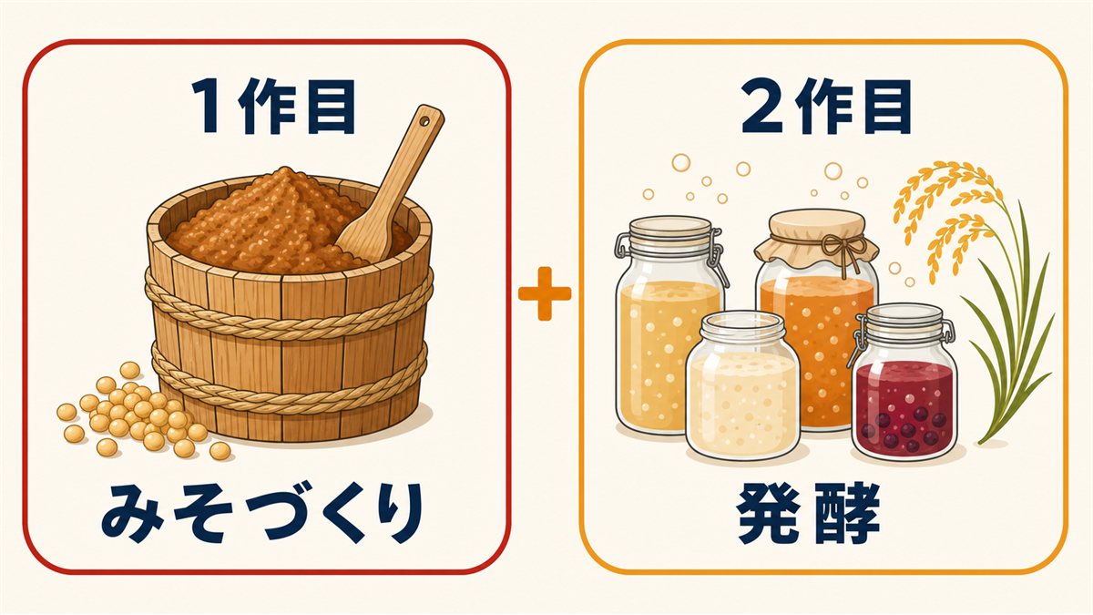 みそ作りの1作目と発酵の2作目という2作構成を示した図